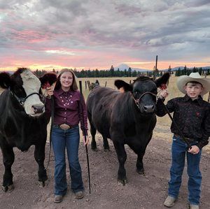 Meet your Posher, Jillian